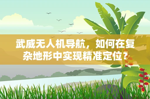 武威无人机导航，如何在复杂地形中实现精准定位？