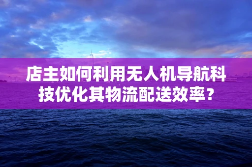 店主如何利用无人机导航科技优化其物流配送效率？