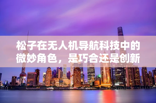 松子在无人机导航科技中的微妙角色，是巧合还是创新契机？