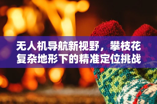 无人机导航新视野，攀枝花复杂地形下的精准定位挑战