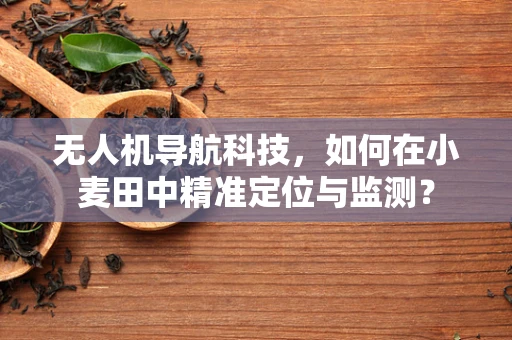 无人机导航科技，如何在小麦田中精准定位与监测？