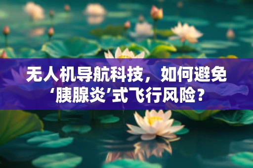 无人机导航科技，如何避免‘胰腺炎’式飞行风险？