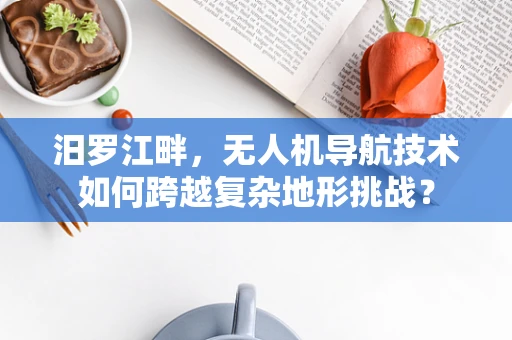 汨罗江畔，无人机导航技术如何跨越复杂地形挑战？