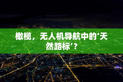 橄榄，无人机导航中的‘天然路标’？