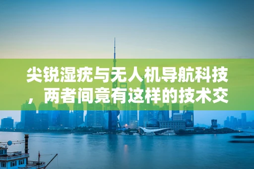 尖锐湿疣与无人机导航科技，两者间竟有这样的技术交集？
