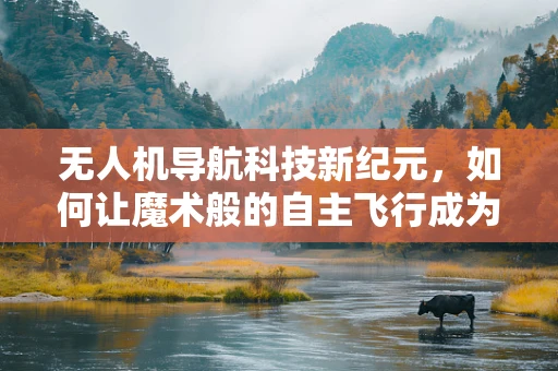无人机导航科技新纪元，如何让魔术般的自主飞行成为现实？