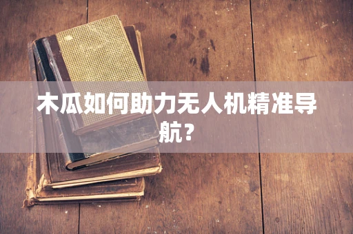 木瓜如何助力无人机精准导航？