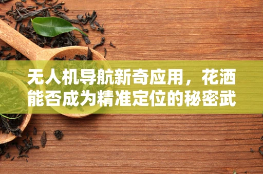 无人机导航新奇应用，花洒能否成为精准定位的秘密武器？