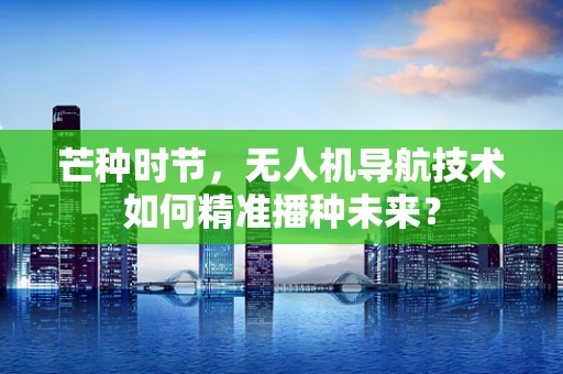 芒种时节，无人机导航技术如何精准播种未来？
