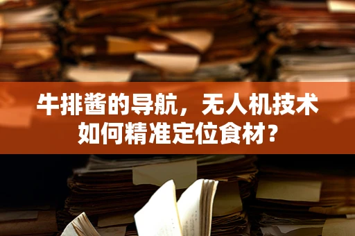 牛排酱的导航，无人机技术如何精准定位食材？