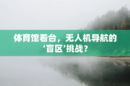 体育馆看台，无人机导航的‘盲区’挑战？