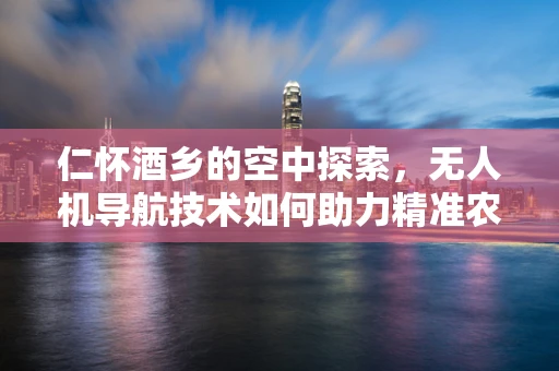 仁怀酒乡的空中探索，无人机导航技术如何助力精准农业？