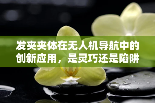 发夹夹体在无人机导航中的创新应用，是灵巧还是陷阱？
