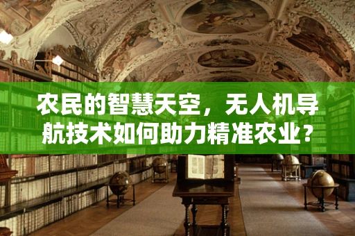 农民的智慧天空，无人机导航技术如何助力精准农业？