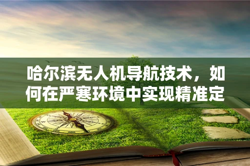 哈尔滨无人机导航技术，如何在严寒环境中实现精准定位？