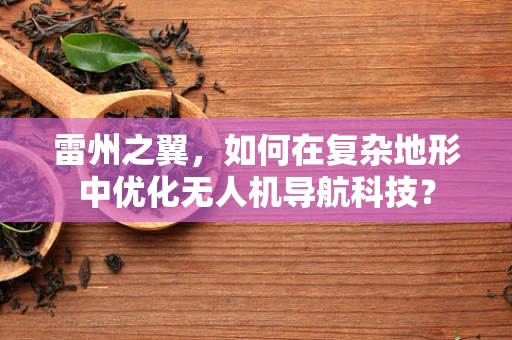 雷州之翼，如何在复杂地形中优化无人机导航科技？