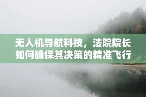 无人机导航科技，法院院长如何确保其决策的精准飞行？