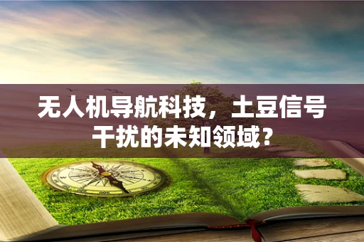 无人机导航科技，土豆信号干扰的未知领域？