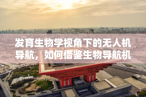发育生物学视角下的无人机导航，如何借鉴生物导航机制？