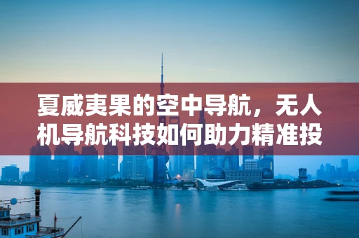 夏威夷果的空中导航，无人机导航科技如何助力精准投送？