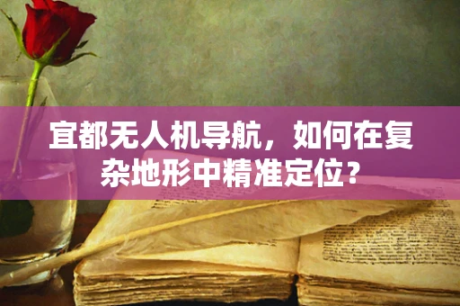 宜都无人机导航，如何在复杂地形中精准定位？