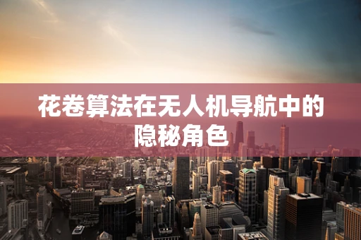 花卷算法在无人机导航中的隐秘角色