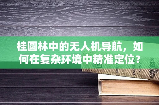 桂圆林中的无人机导航，如何在复杂环境中精准定位？