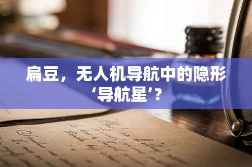 扁豆，无人机导航中的隐形‘导航星’？