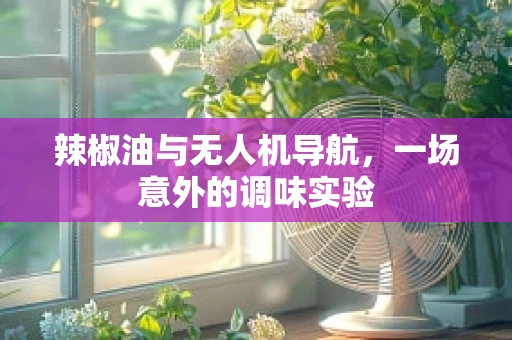 辣椒油与无人机导航，一场意外的调味实验