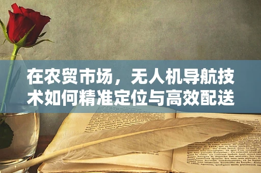在农贸市场，无人机导航技术如何精准定位与高效配送？