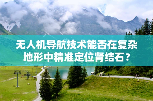 无人机导航技术能否在复杂地形中精准定位肾结石？