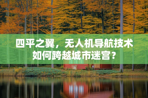 四平之翼，无人机导航技术如何跨越城市迷宫？