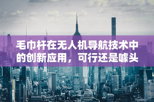 毛巾杆在无人机导航技术中的创新应用，可行还是噱头？