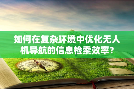 如何在复杂环境中优化无人机导航的信息检索效率？