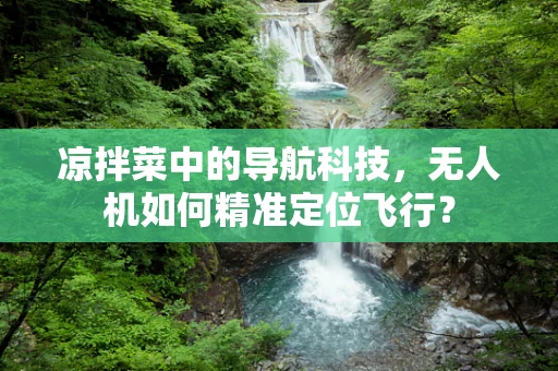凉拌菜中的导航科技，无人机如何精准定位飞行？