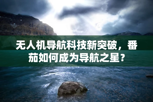 无人机导航科技新突破，番茄如何成为导航之星？