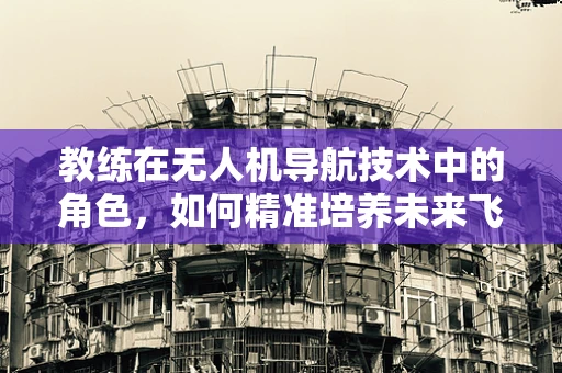 教练在无人机导航技术中的角色，如何精准培养未来飞行员？