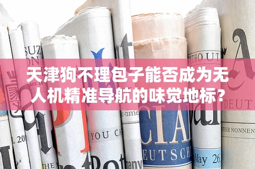 天津狗不理包子能否成为无人机精准导航的味觉地标？