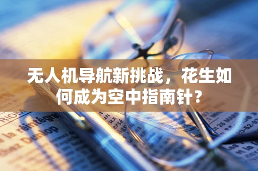 无人机导航新挑战，花生如何成为空中指南针？