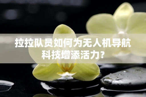 拉拉队员如何为无人机导航科技增添活力？