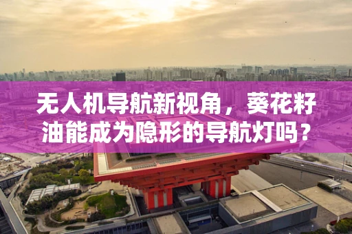 无人机导航新视角，葵花籽油能成为隐形的导航灯吗？