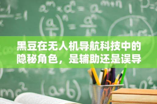 黑豆在无人机导航科技中的隐秘角色，是辅助还是误导？