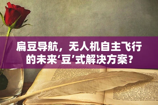 扁豆导航，无人机自主飞行的未来‘豆’式解决方案？