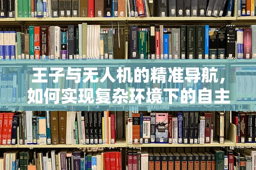 王子与无人机的精准导航，如何实现复杂环境下的自主飞行？