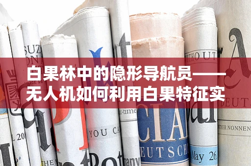 白果林中的隐形导航员——无人机如何利用白果特征实现精准定位？