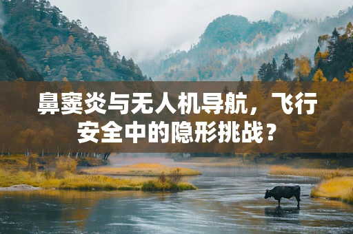 鼻窦炎与无人机导航，飞行安全中的隐形挑战？