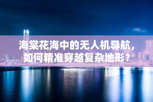 海棠花海中的无人机导航，如何精准穿越复杂地形？