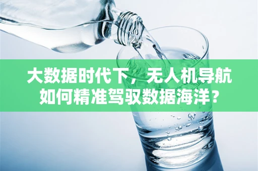 大数据时代下，无人机导航如何精准驾驭数据海洋？