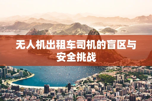 无人机出租车司机的盲区与安全挑战