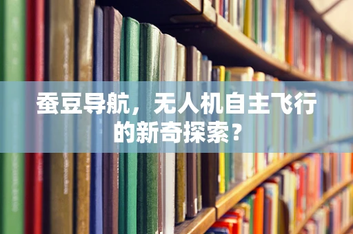 蚕豆导航，无人机自主飞行的新奇探索？